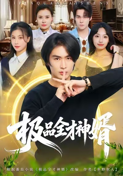 极品全才神婿