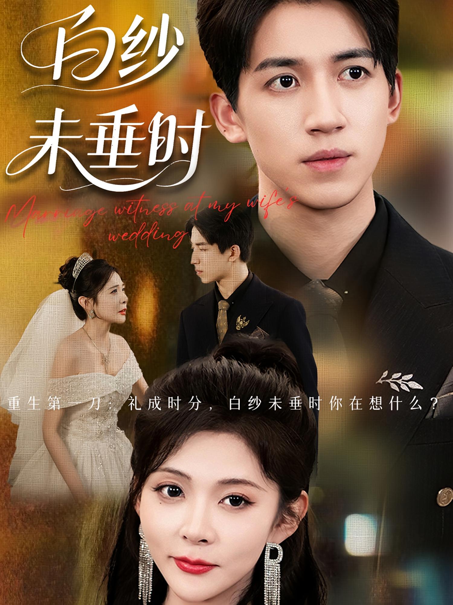 老婆婚礼我当证婚人，白纱未垂时