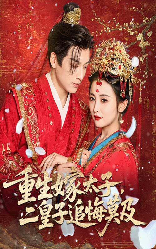 重生嫁太子二皇子追悔莫及