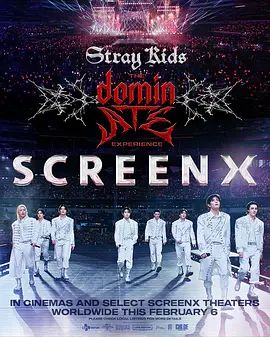 StrayKids：主宰一切的体验